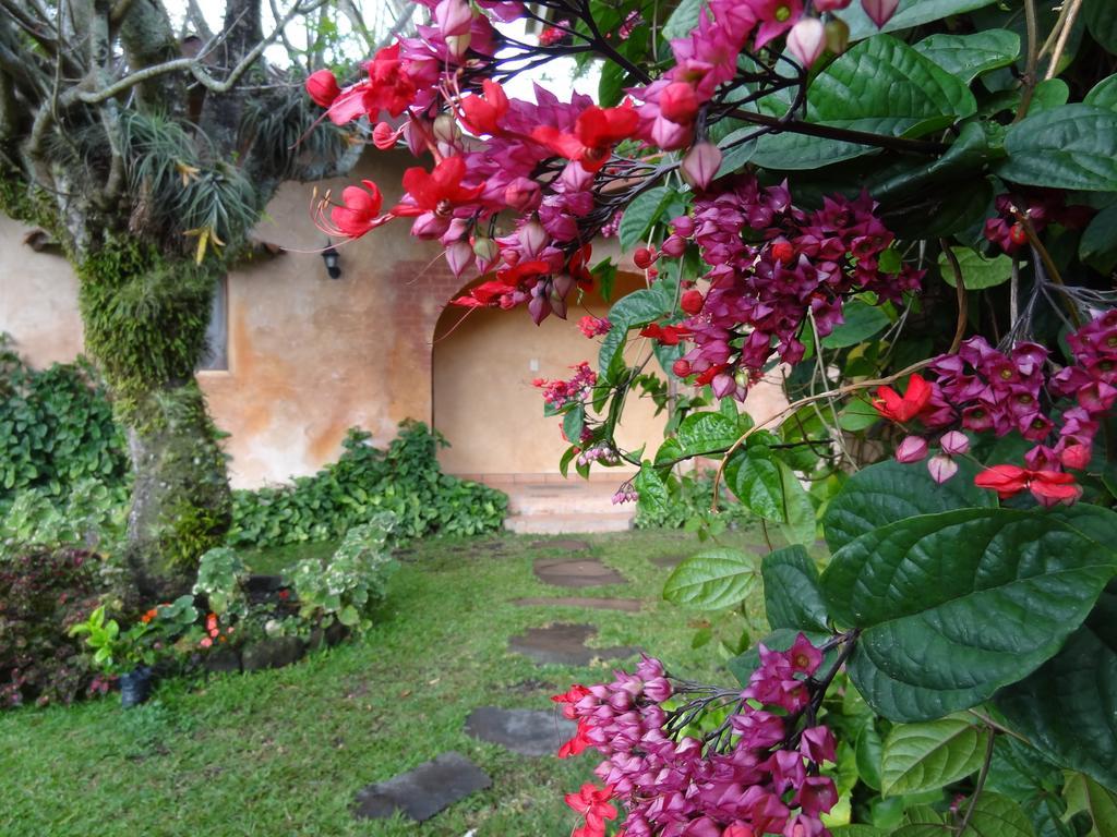 Hotel Valle Primavera Boquete Exterior foto